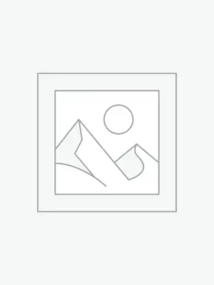 90%鴨絨拼接色翻領立領兩穿羽絨外套！超輕超保暖（下抽繩）